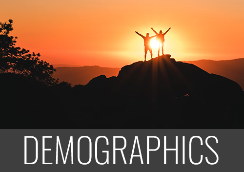 Demographics